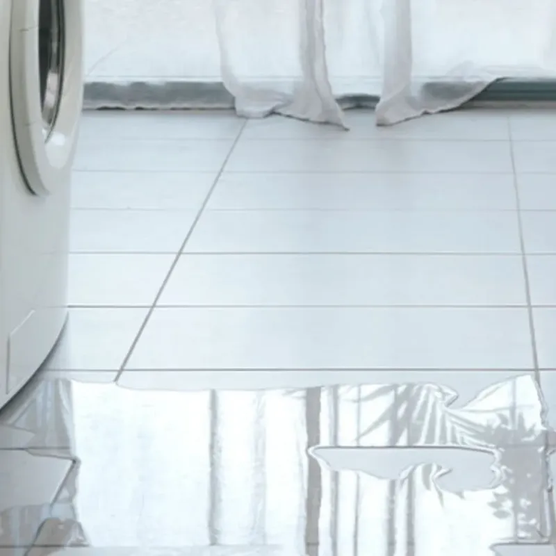 Appliance Leak Cleanup in North Peoria, IL