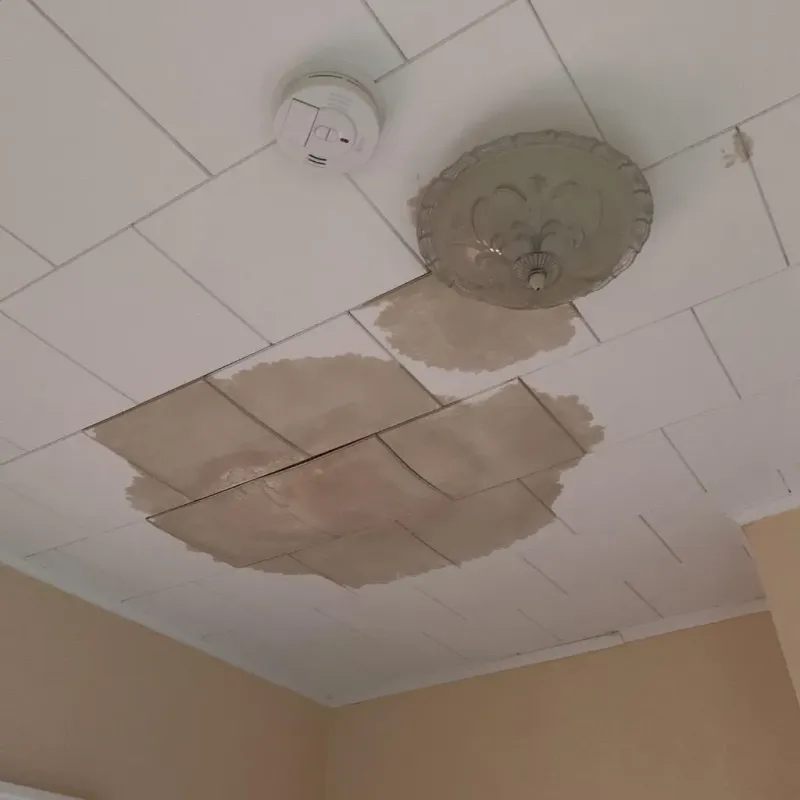 Ceiling Water Damage Repair in North Peoria, IL