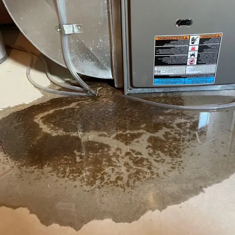Pipe Burst and Leak Restoration in North Peoria, IL