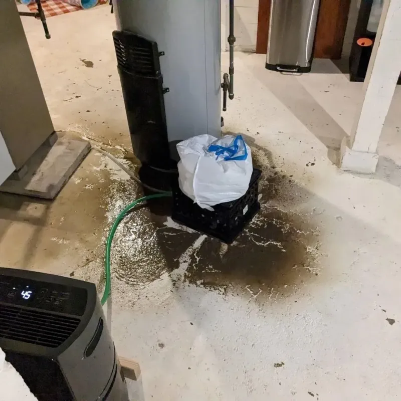 Sewage Backup Cleanup Service in North Peoria, IL